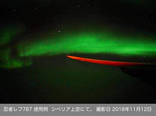 忍者レフ 787 5