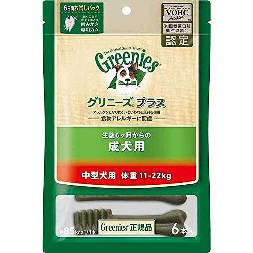 歯みがきガム 1