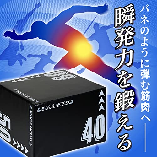 プライオボックス 2