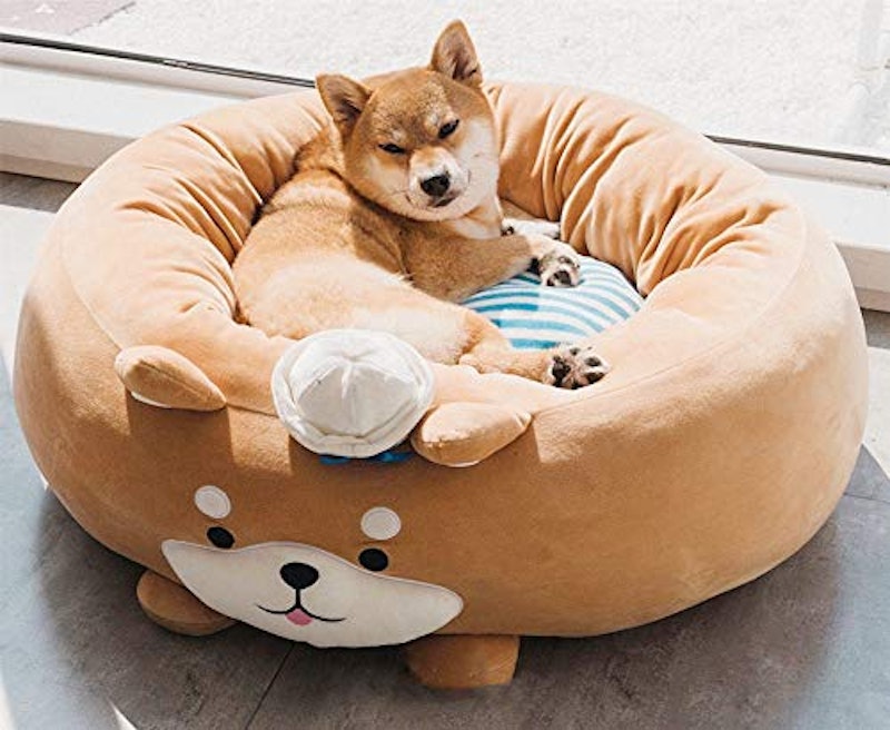21年 犬用ベッドのおすすめ人気ランキング8選 Mybest 21年 犬用ベッドのおすすめ人気ランキング8選 Mybest