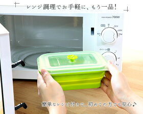 レンジで簡単シリコンスチーマー 2