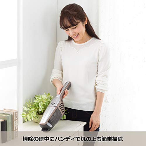 エルゴラピード リチウム 6