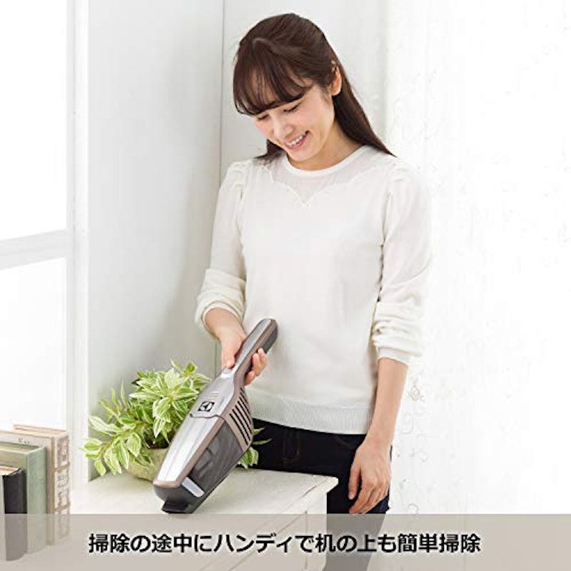 エルゴラピード リチウム 6