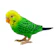 タカラトミー 毎日おしゃべり 天才インコちゃん 1