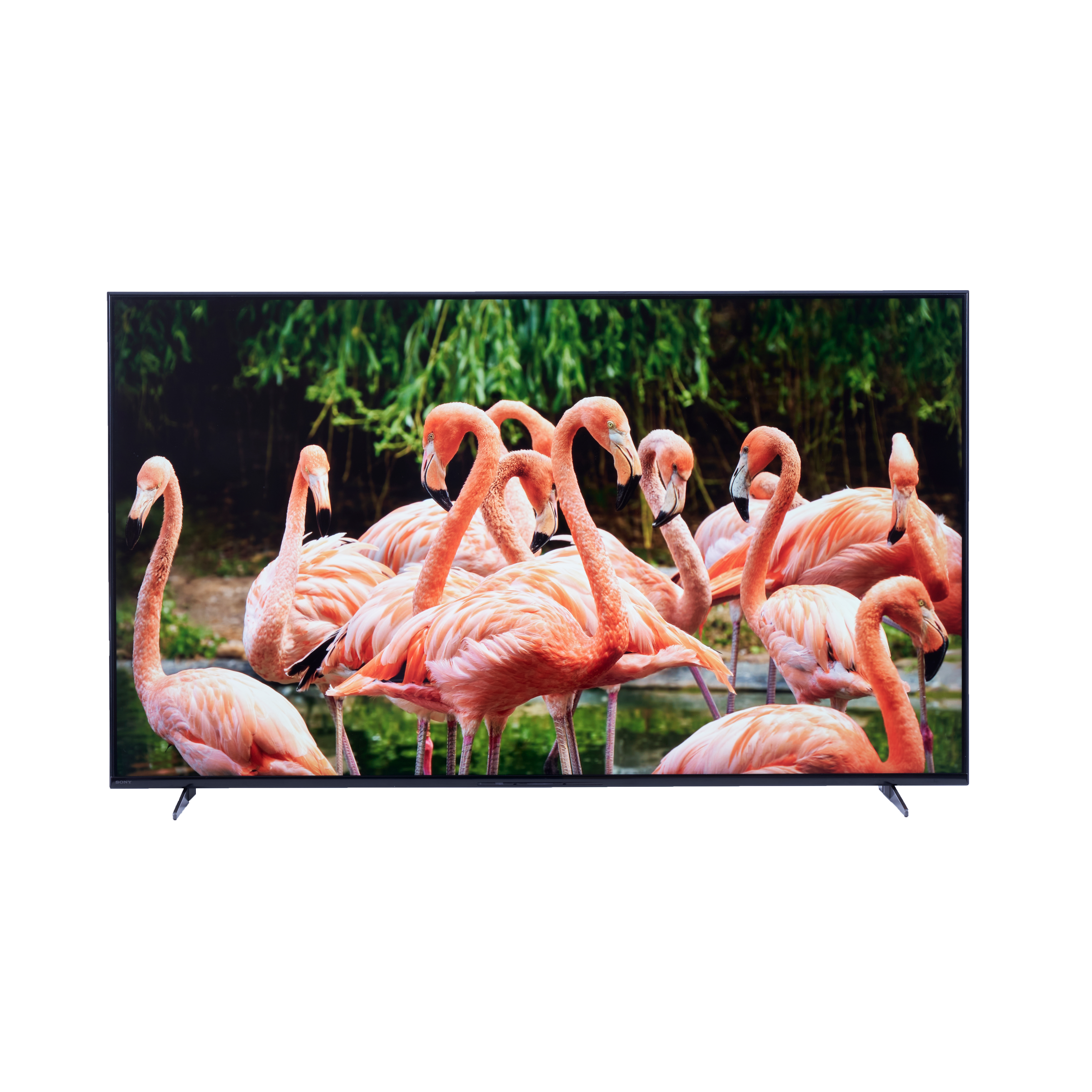 徹底比較】SONY BRAVIA（ブラビア）の55インチテレビのおすすめ