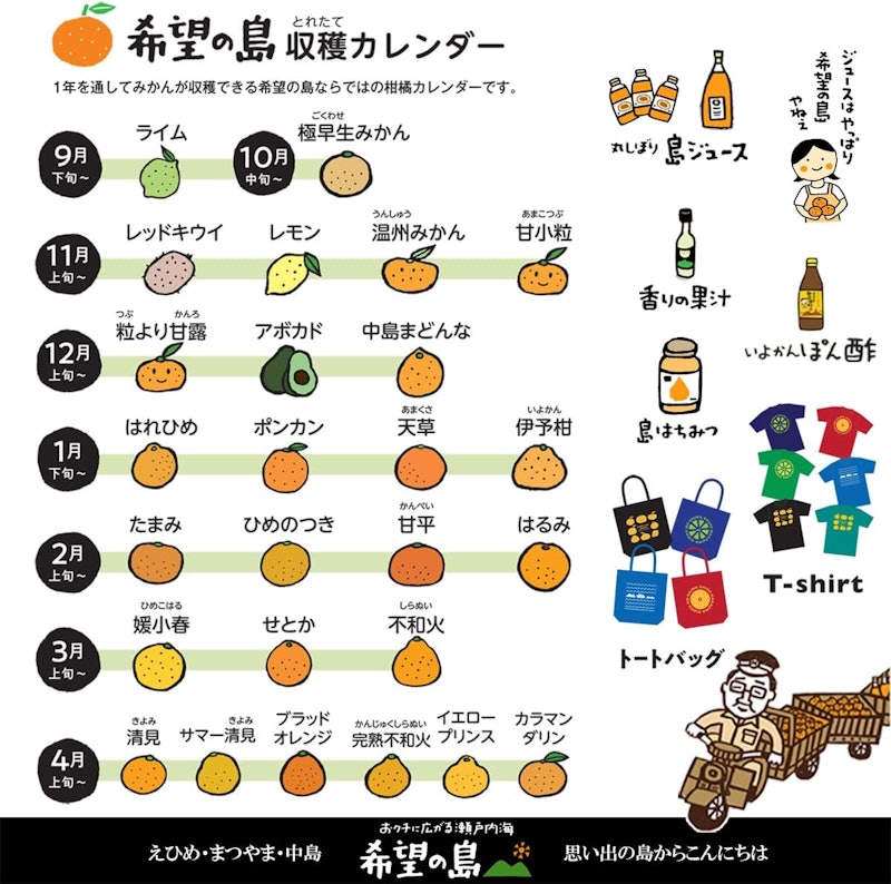 愛媛県産 みかん 甘平 3