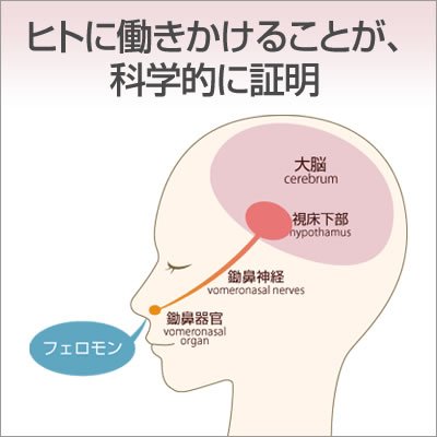 ラブアトラクション プレミアム 3