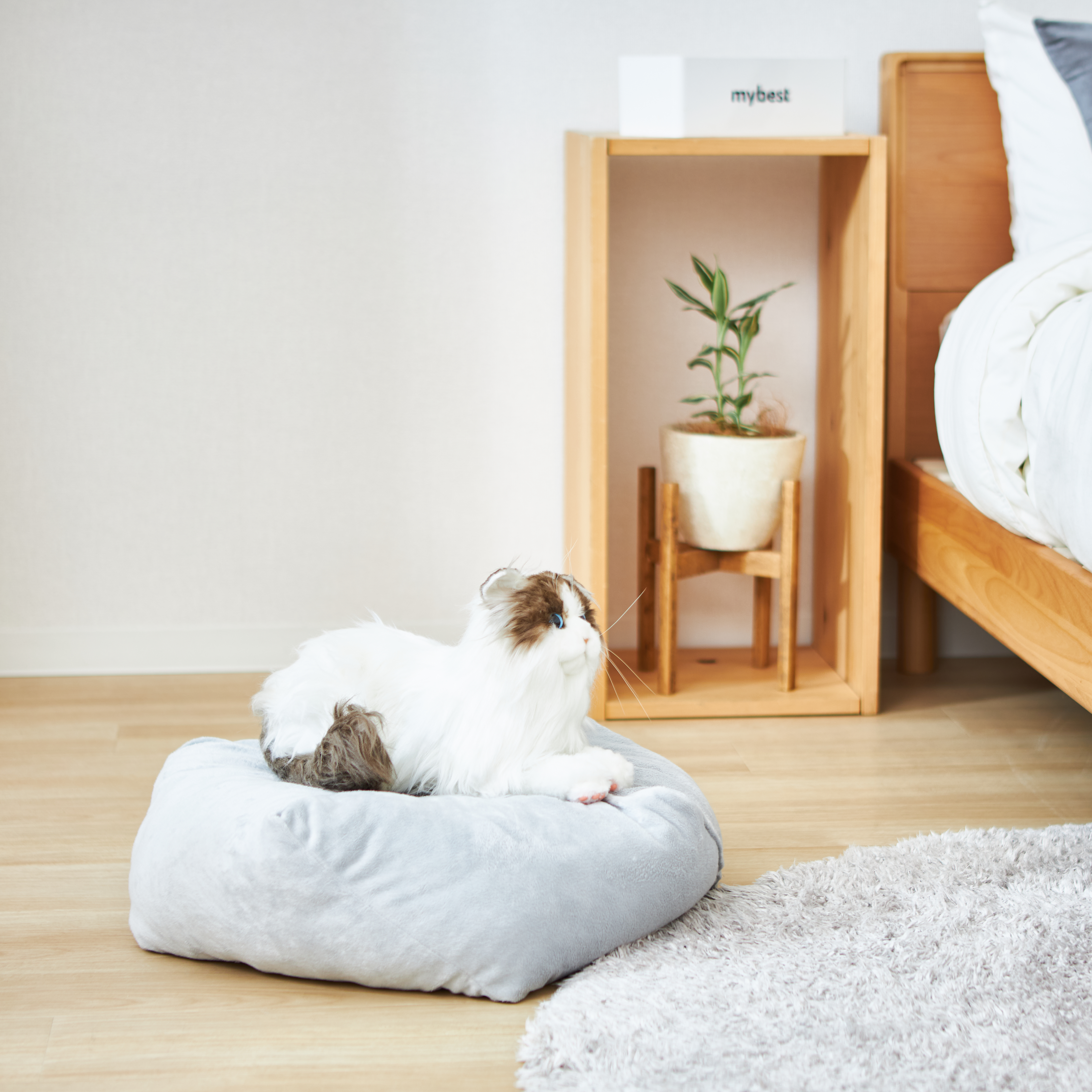 アイリスオーヤマ ペット用クールベッド ゆりかご PCB-22Yをレビュー