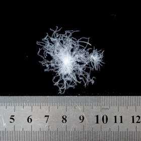 モンベル ライトアルパイン ダウンパンツをレビュー!クチコミ・評判をもとに徹底検証 5