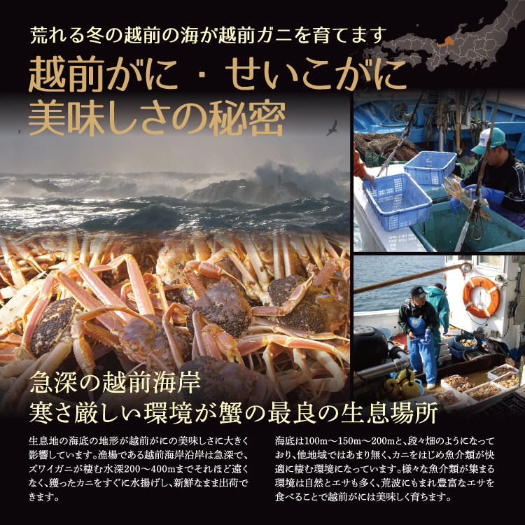 越前がに 甲羅盛り 4
