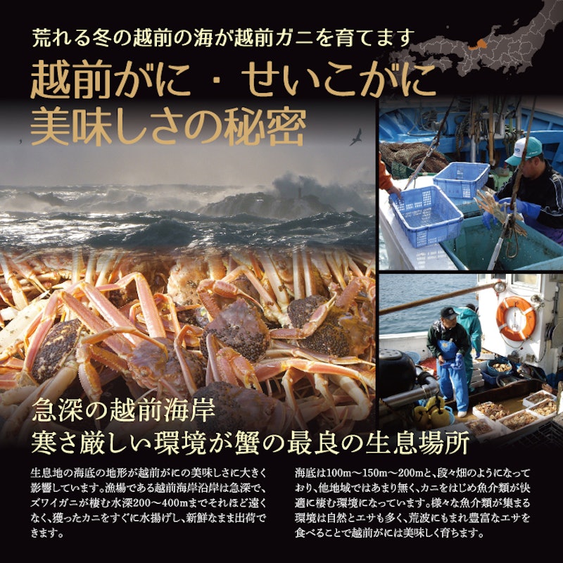 越前がに 甲羅盛り 4