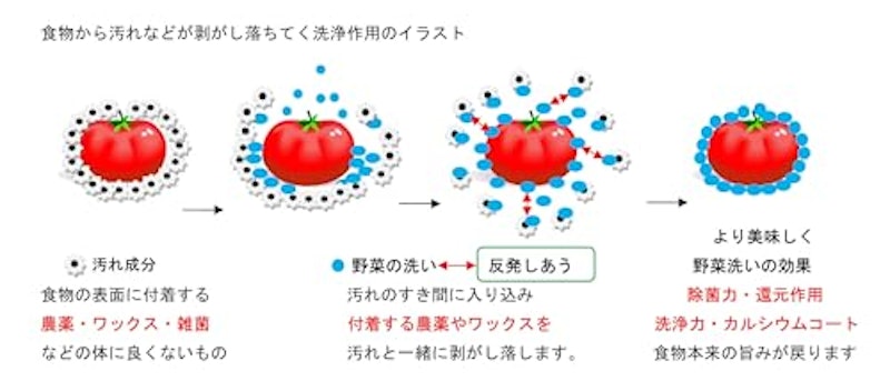ホタテ生まれの除菌も出来る野菜洗い 3