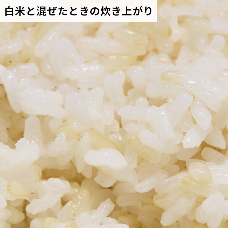 こだわり発芽玄米 7