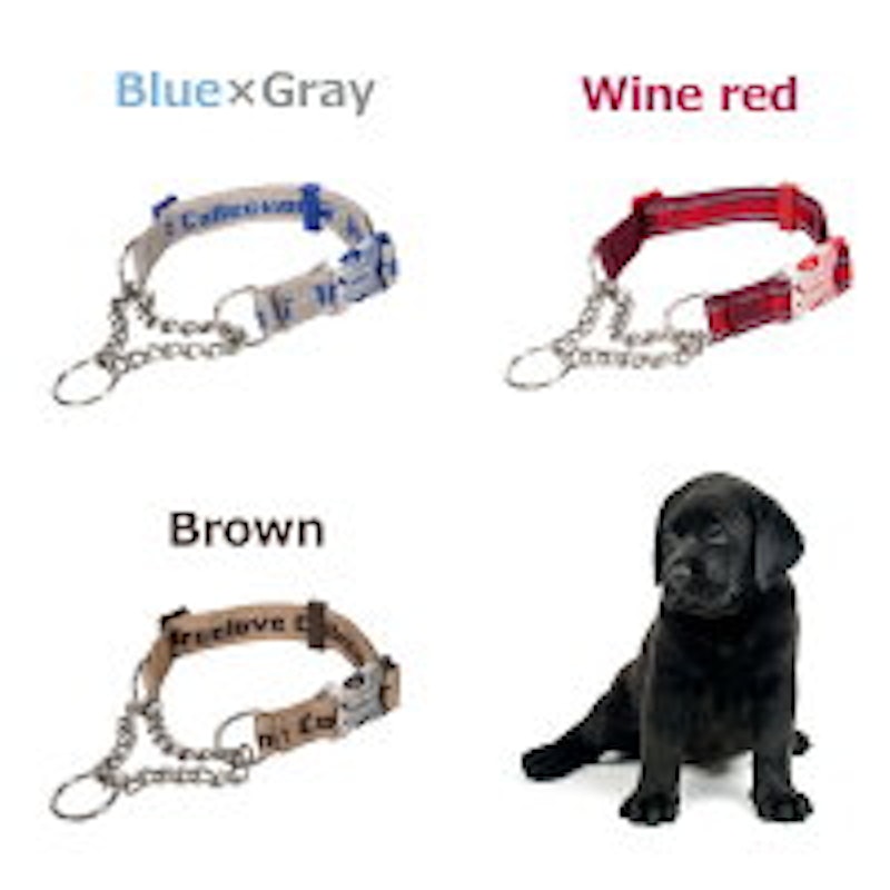 22年 犬用ハーフチョークのおすすめ人気ランキング選 Mybest 22年 犬用ハーフチョークのおすすめ人気ランキング選 Mybest