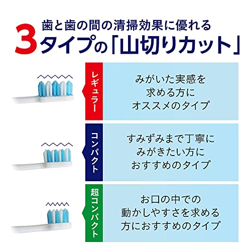 レギュラー 3