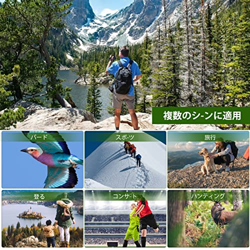 双眼鏡 4