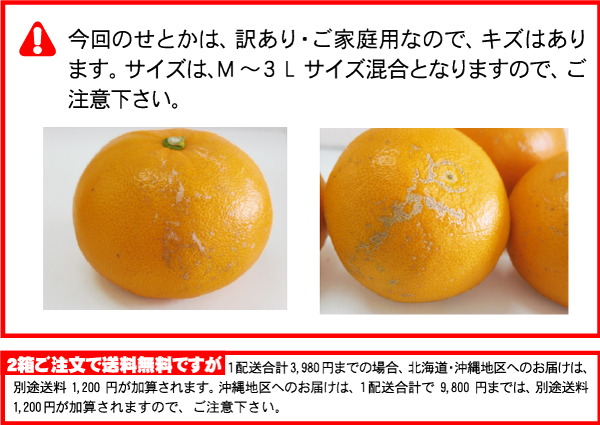 せとか 4