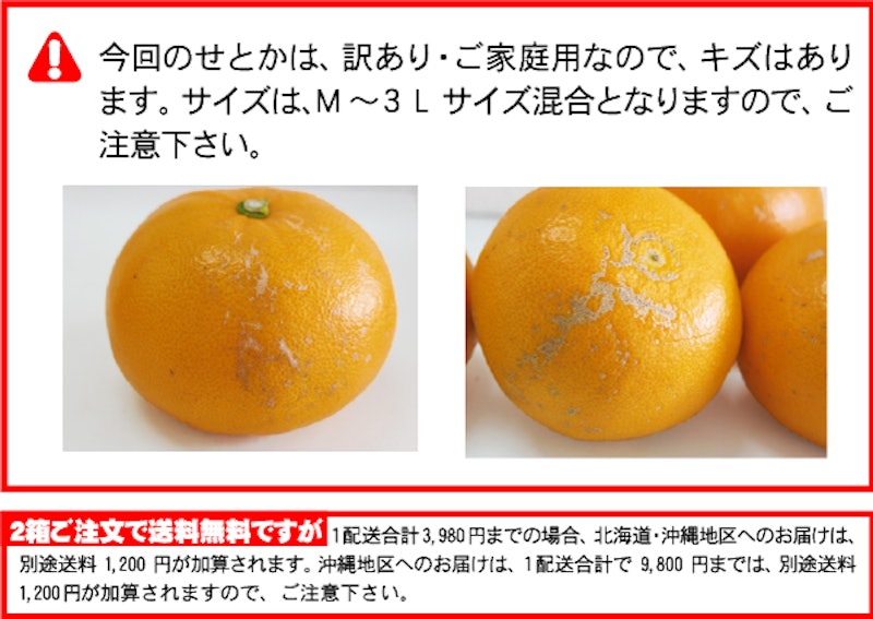 せとか 4
