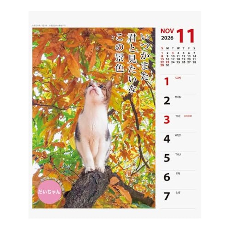 2026年カレンダー 猫川柳 6