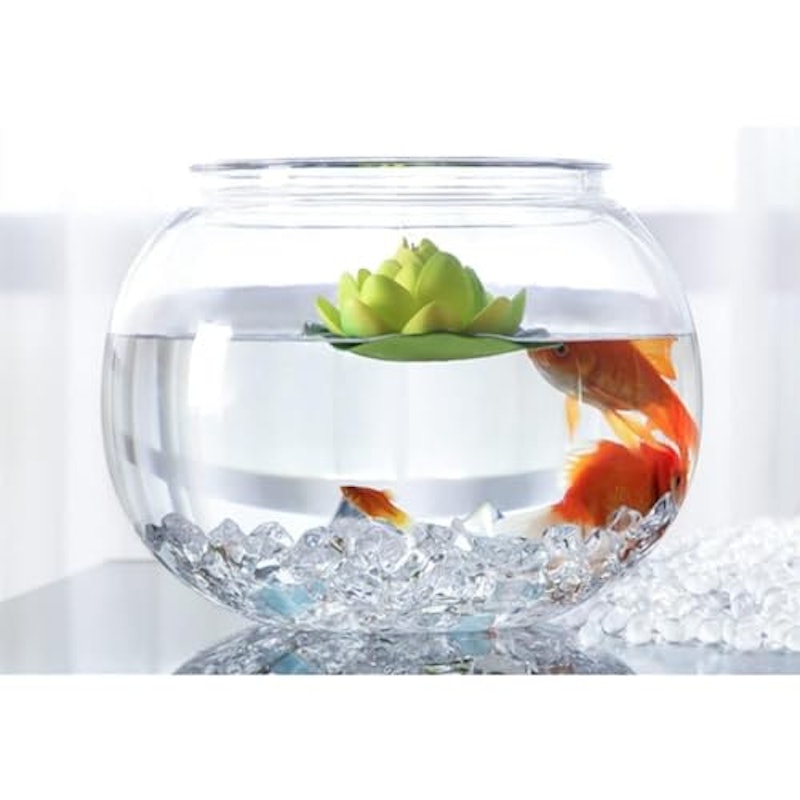 金魚鉢 3