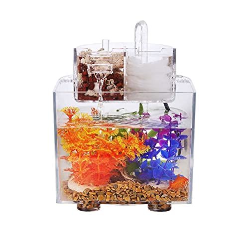 22年 メダカ飼育水槽のおすすめ人気ランキング19選 Mybest