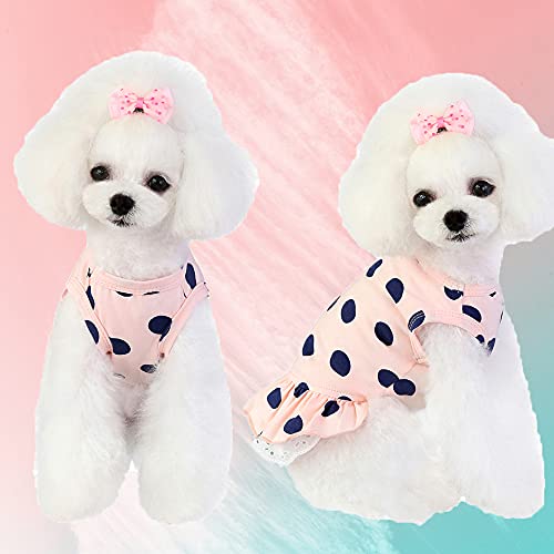 犬服 水玉シャツ 2