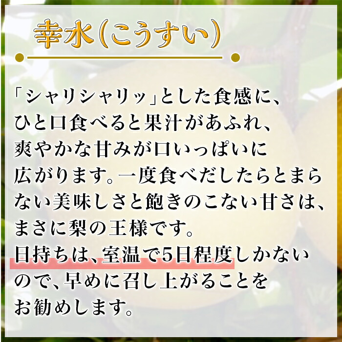 茨城県産 幸水梨 2
