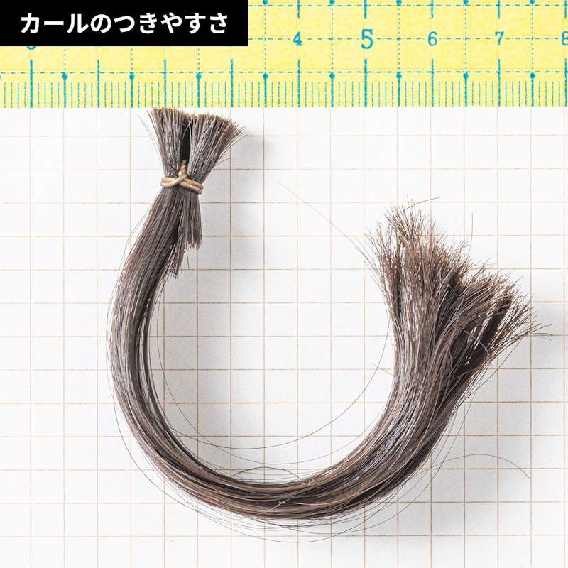 プロフェッショナル プロテクトイオン カールアイロン 6