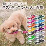 22年 犬用首輪のおすすめ人気ランキング40選 Mybest 22年 犬用首輪のおすすめ人気ランキング40選 Mybest