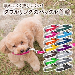 21年 犬用首輪のおすすめ人気ランキング22選 Mybest 21年 犬用首輪のおすすめ人気ランキング22選 Mybest