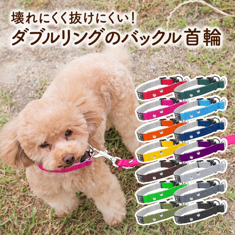 ダブルリングの首輪 1