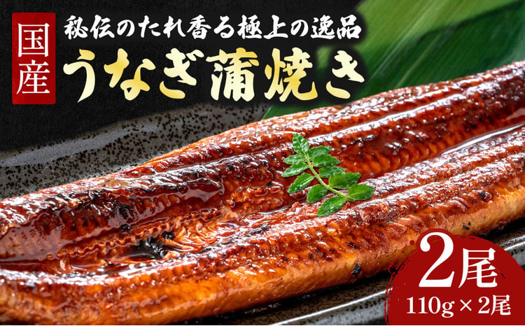 四万十うなぎ 蒲焼きセット 1