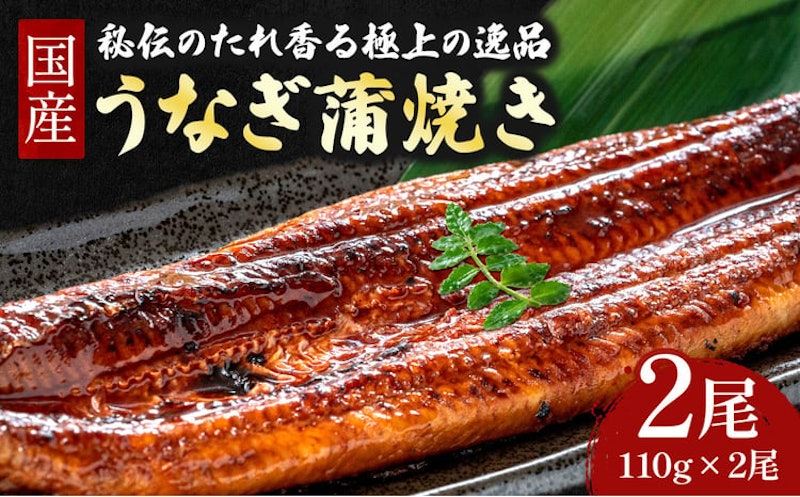四万十うなぎ 蒲焼きセット 1