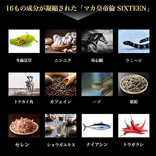 マカ皇帝倫SIXTEEN 3