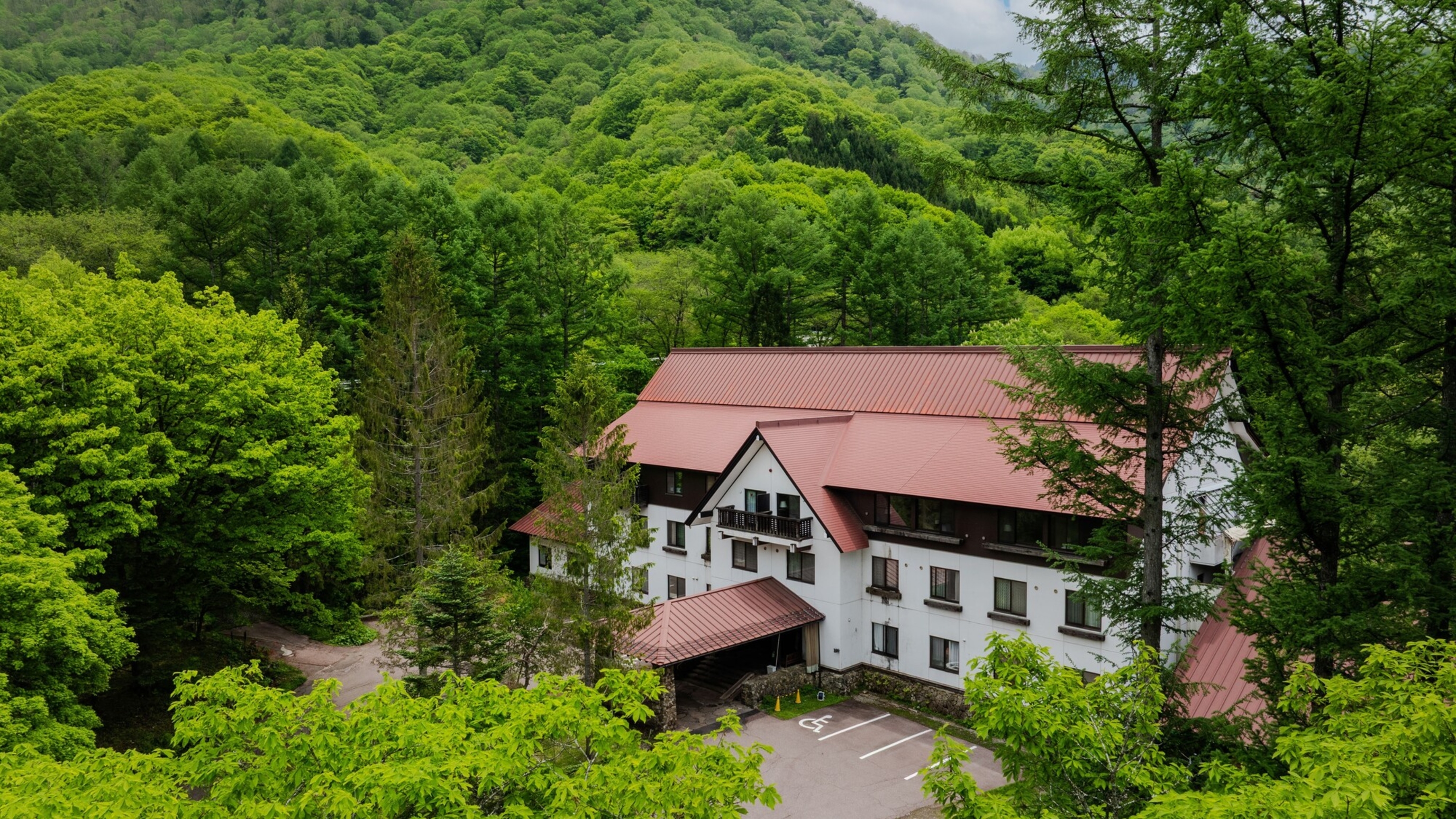 わんわんパラダイス 高山 1