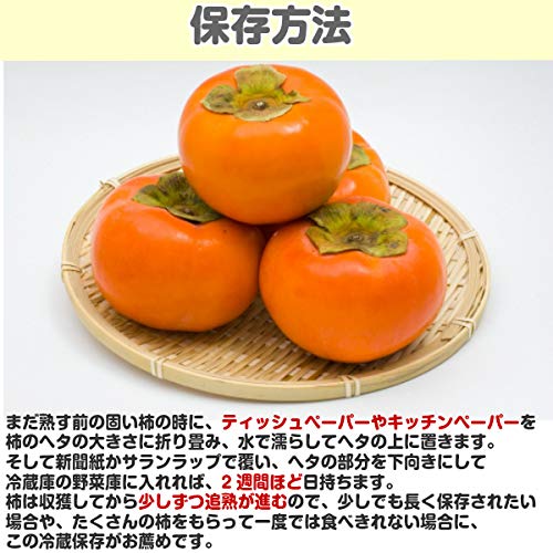 西日本産 訳あり 富有柿 6