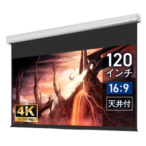 電動スクリーン ケース付き 1