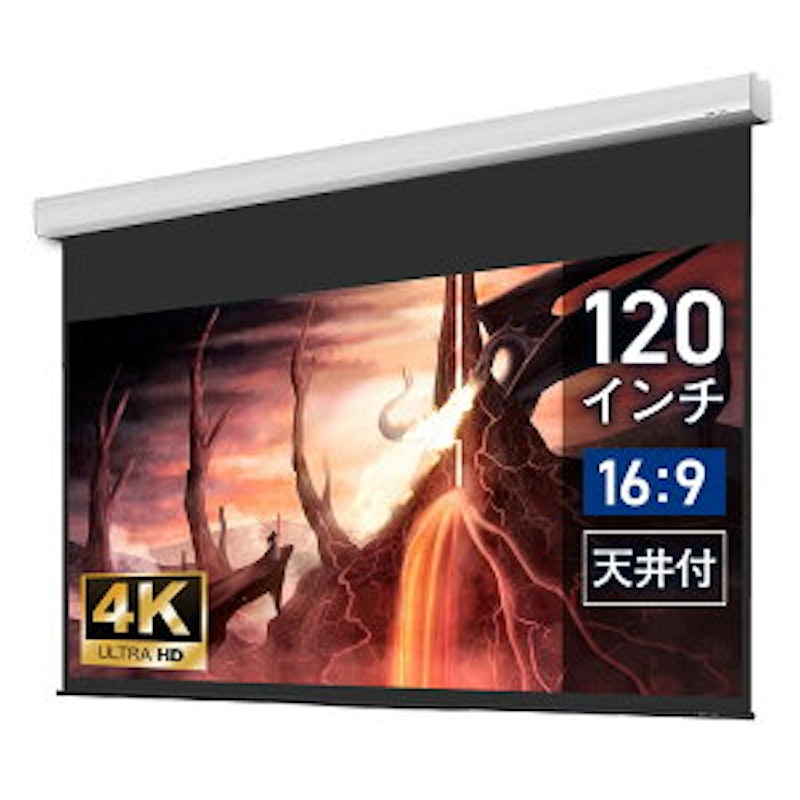 電動スクリーン ケース付き 1