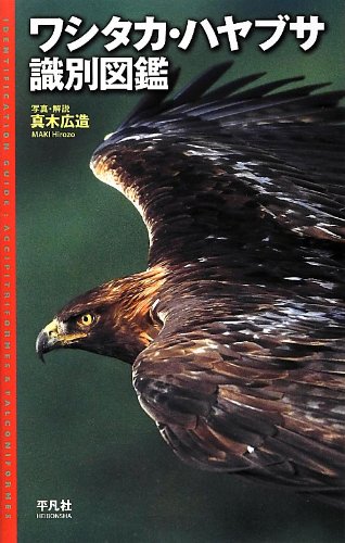 野鳥図鑑のおすすめ人気ランキング10選 鳴き声を聴けるものも Mybest