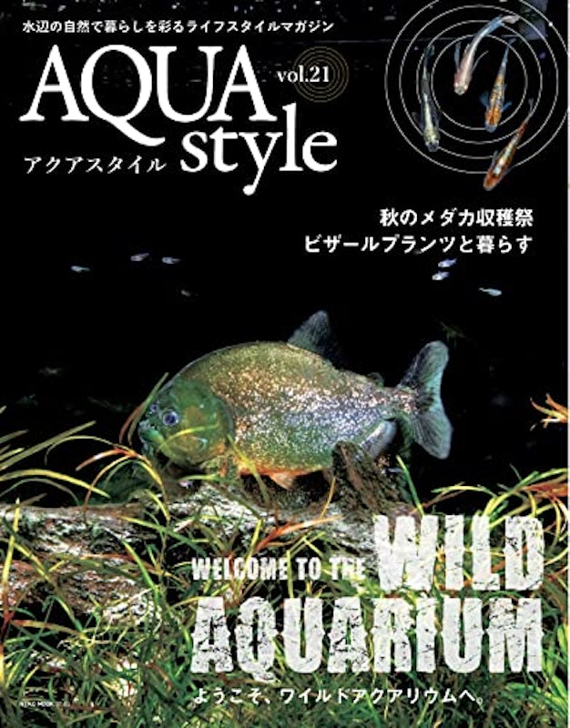 AQUA style 21 1