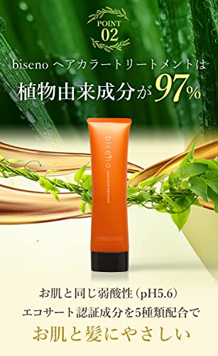 biseno ヘアカラートリートメント 5