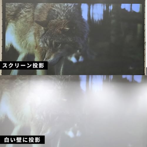 Pro 4K+VIVIDSTORMレーザースクリーンセット 4