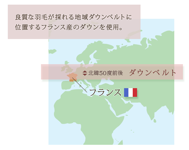 羽毛肌掛け布団 4