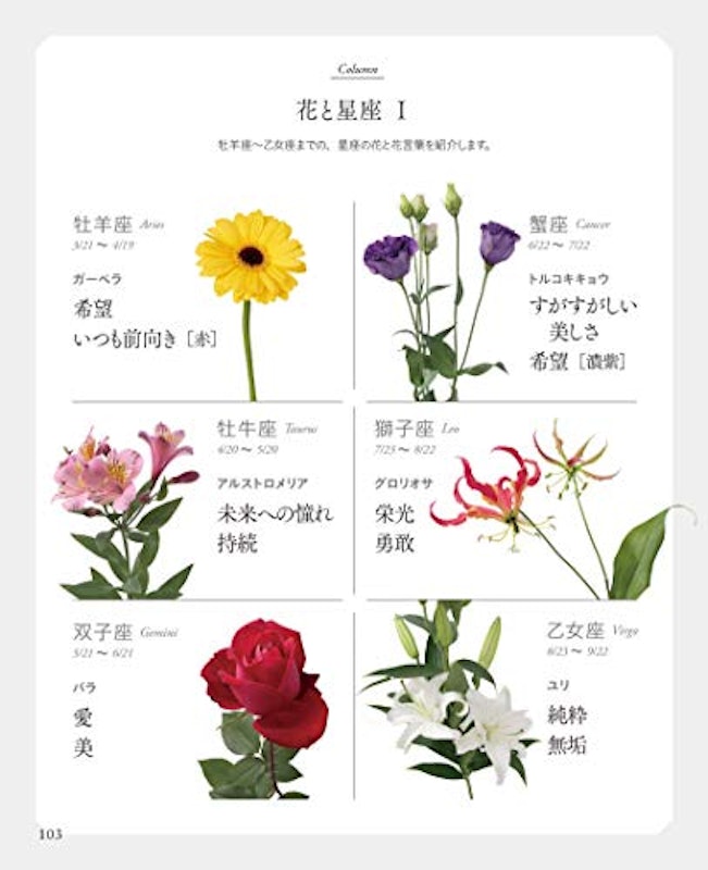ちいさな花言葉・花図鑑 6