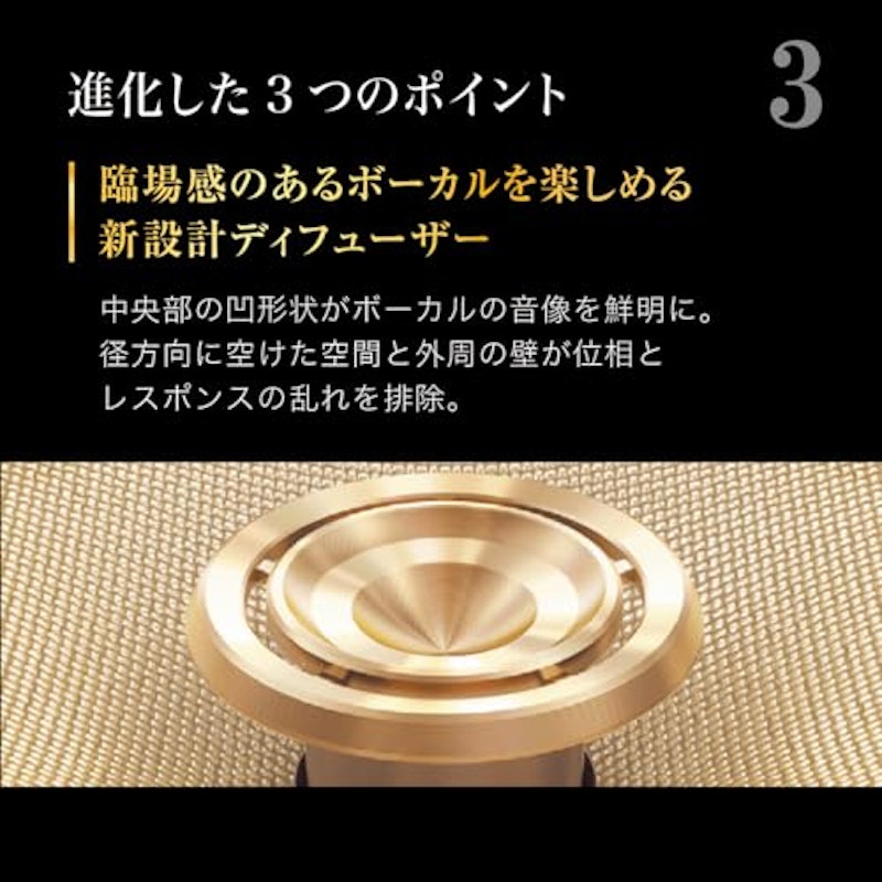 カスタムフィット・スピーカー 5