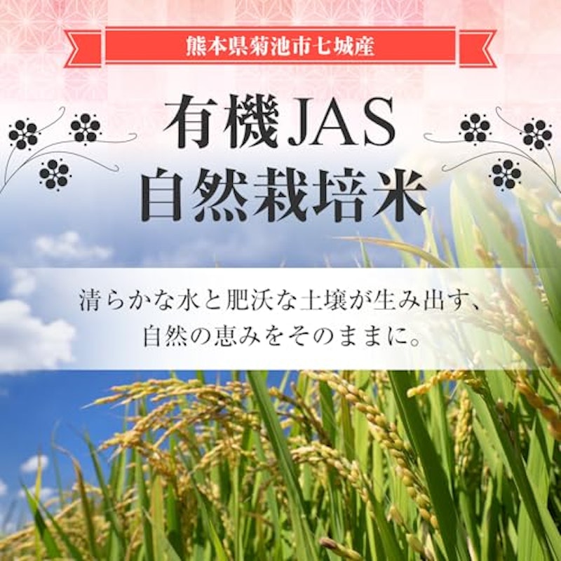 無洗米 有機JASヒノヒカリ 2
