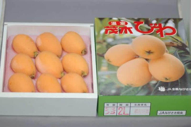 茂木びわ 2