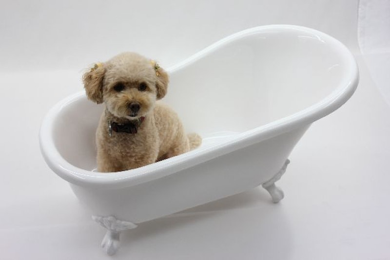 22年 ペット用バスタブのおすすめ人気ランキング12選 Mybest 22年 ペット用バスタブのおすすめ人気ランキング12選 Mybest