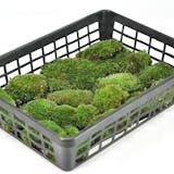 苔のおすすめ人気ランキング【2026年10月】 4