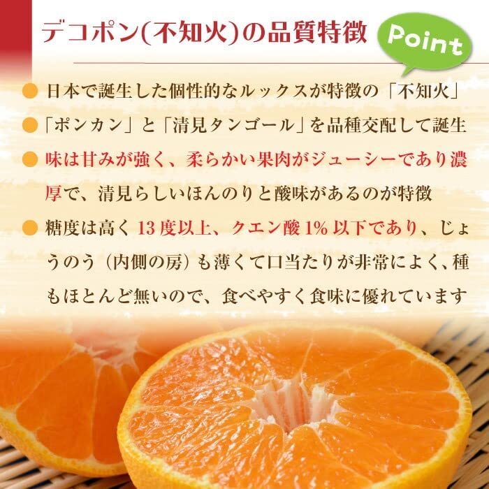 デコポン 特大サイズ 3